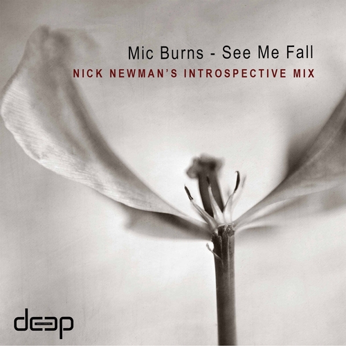 Quibus - See Me Fall - Nick Newman's Introspective Mix [DEEP106]